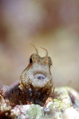 �����@�΍�